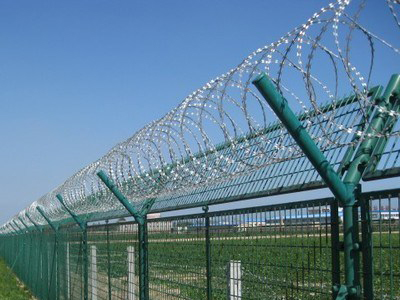 concertina security fence is installed on welded wire fence