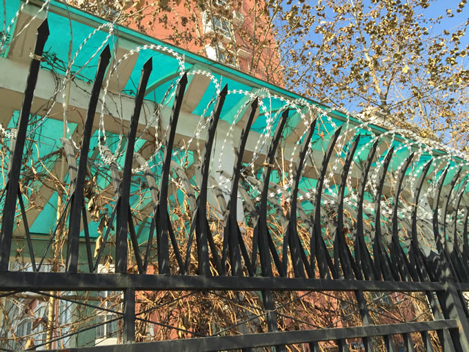 A coil of single type concertina wire is installed on the top of black welded fence by Y-shaped post.